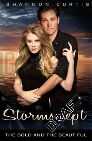 Bold & Beautiful: Stormswept by Shannon Curtis