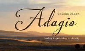 Adagio by Trisha Dixon