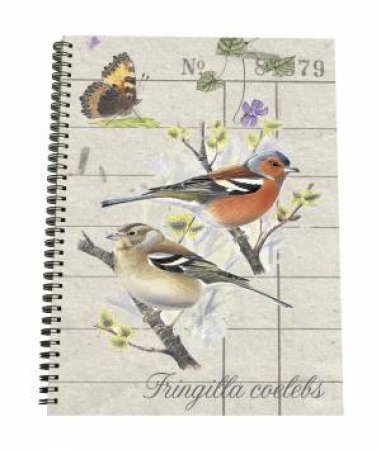 A4 Spiral NotePad: Chaffinch by New Holland Publishers