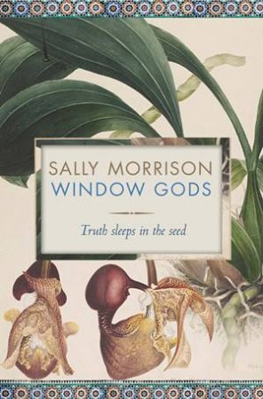 Window Gods by Sally Morrison