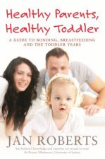 Healthy Parents Healthy Toddler A Guide to Bonding Breast Feeding and the Toddler Years