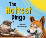 Hottest Dingo