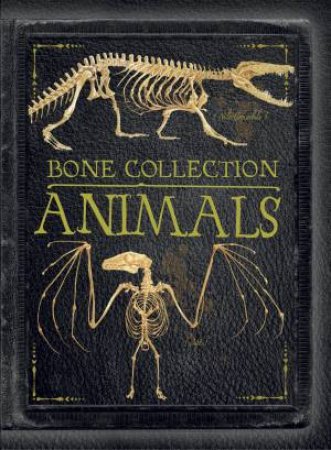 Bone Collection: Animals by Unknown