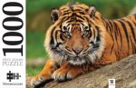 Mindbogglers 1000 Piece Jigsaw Tiger