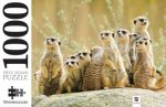 Mindbogglers 1000 Piece Jigsaw Meerkat Family