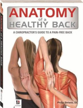 Anatomy Of A Healthy Back by Various