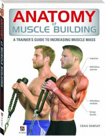 Anatomy Of Muscle Building by Various