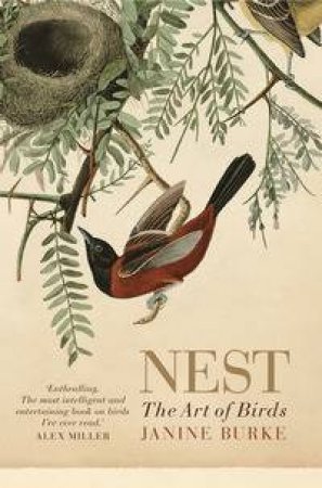 Nest by Janine Burke