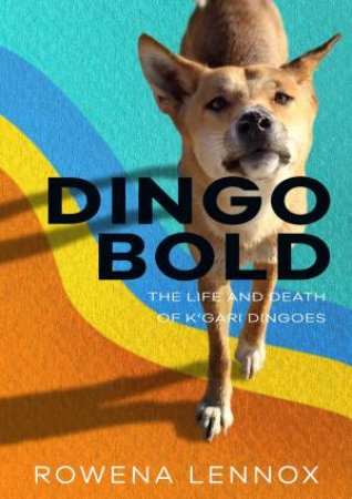 Dingo Bold by Rowena Lennox