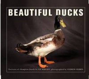 Beautiful Ducks by Liz Wright