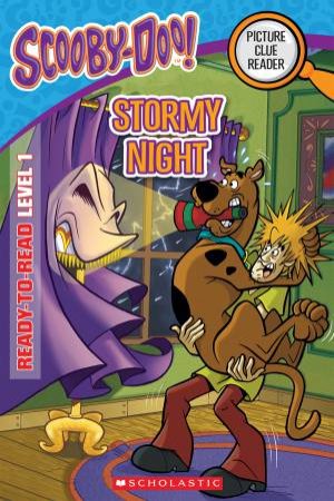 Stormy Night by Various