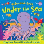 Hide and Seek Touch and Feel Under the Sea