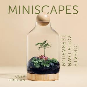 Miniscapes by Clea Cregan