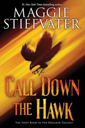 Call Down The Hawk by Maggie Stiefvater