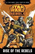 Star Wars Rebels Rise of the Rebels