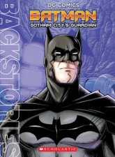 DC Comics Batman Gotham Citys Guardian