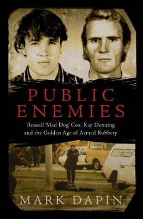 Public Enemies by Mark Dapin