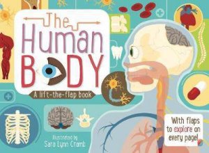 The Human Body: A Lift-The-Flap Book by Sara Lynn Cramb