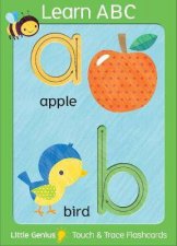 Little Genius Giant Flash Cards ABC