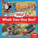 Thomas  Friends What Can You See