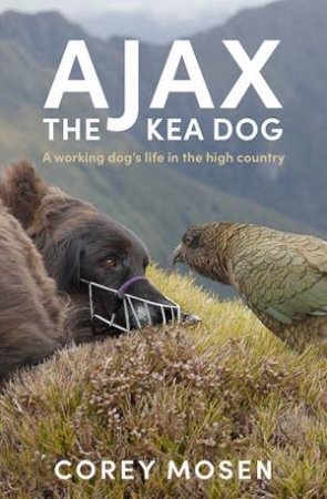 Ajax the Kea Dog by Corey Mosen