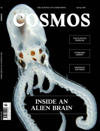 Issue 80 by Cosmos Magazine