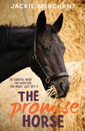 The Promise Horse by Jackie Merchant