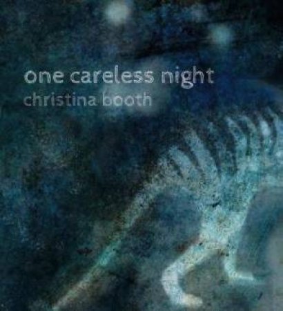 One Careless Night by Christina Booth & Christina Booth