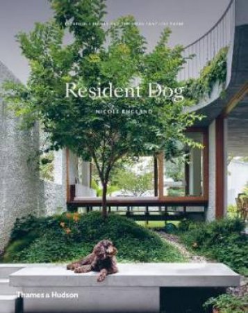 Resident Dog: Incredible Homes and the Dogs That Live There by England Nicole