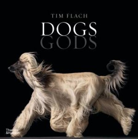 Dogs Gods by Tim Flach