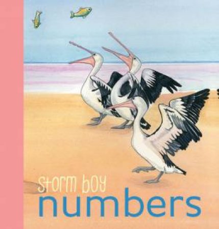 Storm Boy Numbers by Various