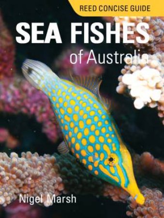 Reed Concise Guide Sea Fishes of Australia by Nigel Marsh