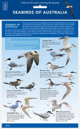 Seabirds - ID Chart by Reed New Holland