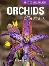 Reed Concise GuideOrchids of Australia