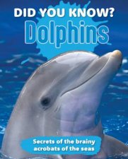 Did You Know Dolphins