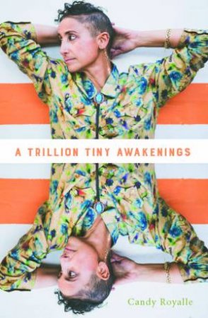 A Trillion Tiny Awakenings by Candy Royalle