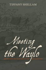 Meeting The Waylo