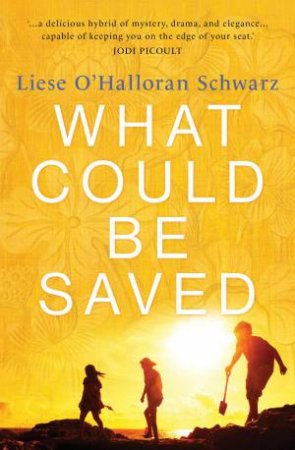 What Could Be Saved by Liese O'Halloran Schwarz