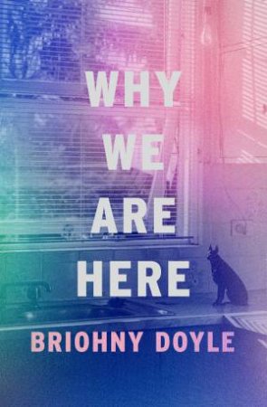 Why We Are Here by Briohny Doyle