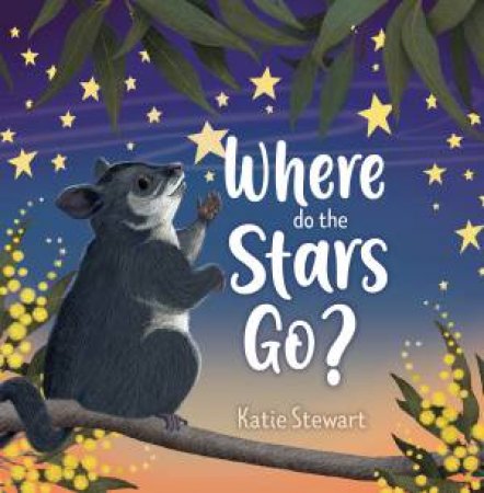 Where Do The Stars Go? by Katie Stewart