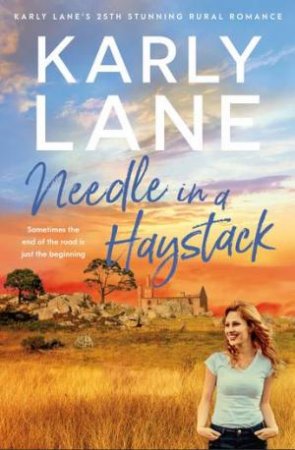 Needle in a Haystack by Karly Lane