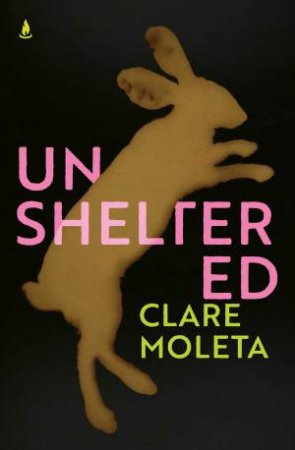 Unsheltered by Clare Moleta