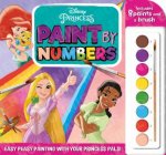 Disney Princess Paint By Numbers