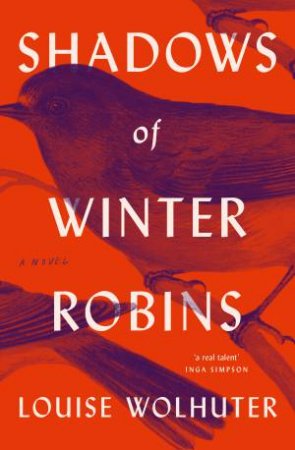 Shadows of Winter Robins by Louise Wolhuter