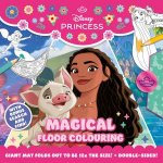 Disney Princess Magical Floor Colouring