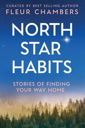 North Star Habits: Stories of Finding Your Way Home by FLEUR CHAMBERS