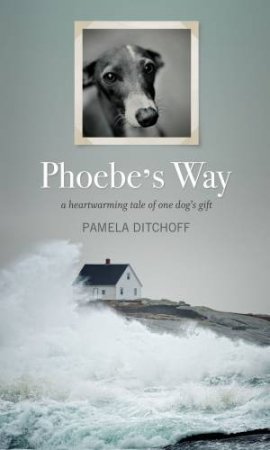 Phoebe's Way by Pamela Ditchoff