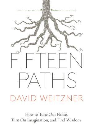 Fifteen Paths by David Weitzner