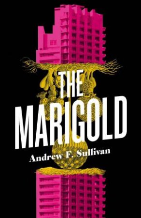 The Marigold by Andrew F Sullivan