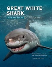 Great White Shark Myth and Reality